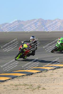 media/Nov-12-2023-SoCal Trackdays (Sun) [[5d1fba4e7d]]/Bowl (930am)/